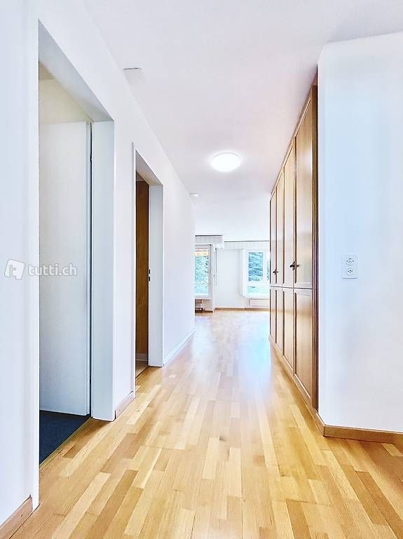 Properties For Sale in Interlaken (3800)