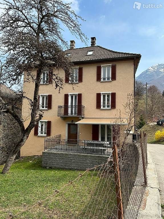 Immobilien kaufen in Roveredo TI (6957)