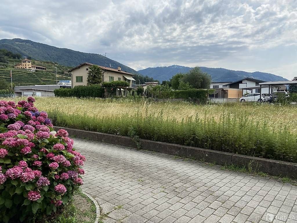 Terreni In vendita a Coldrerio (6877)
