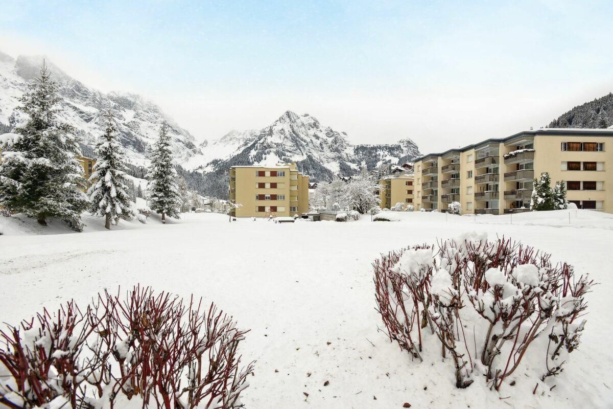 Properties For Sale in Engelberg