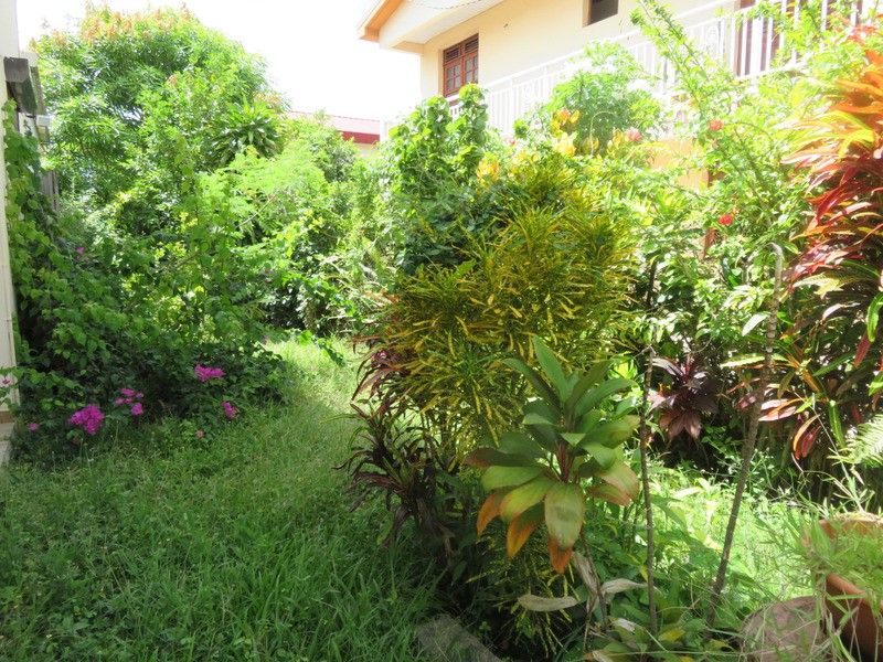 Maisons à vendre à SaintMartinlaPatrouille (71460)