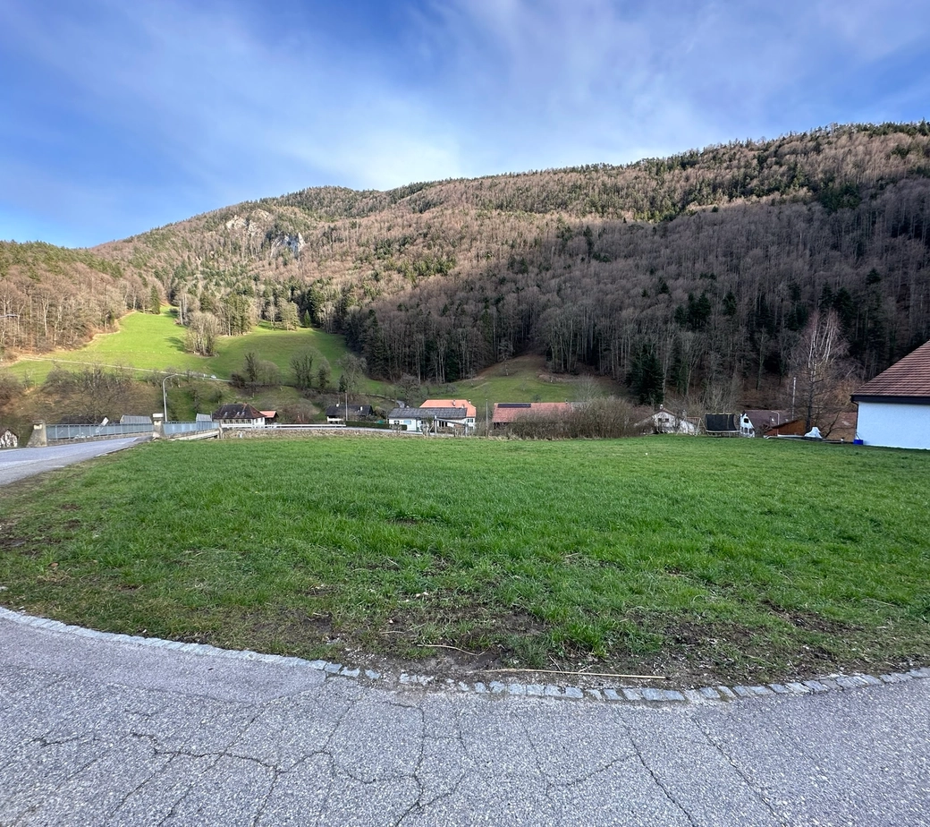 Terrain à bâtir