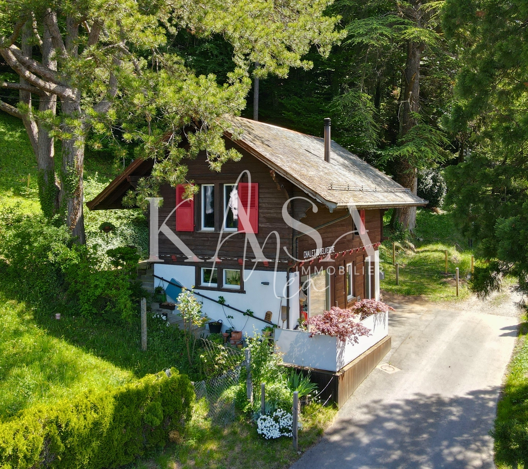 Au coeur d'une nature préservée, magnifique chalet rénové à découvrir en exclusivité!