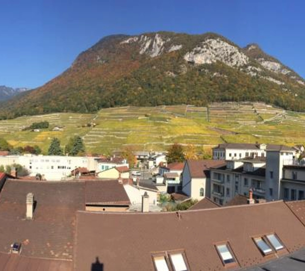 AU CENTRE D'AIGLE - CHARMANT DUPLEX
