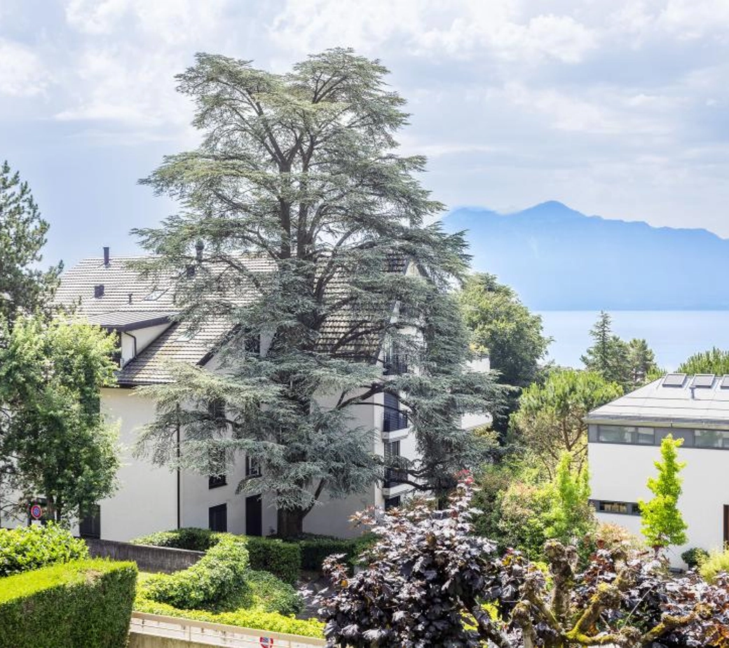 A 2 pas du centre de Pully Sud !