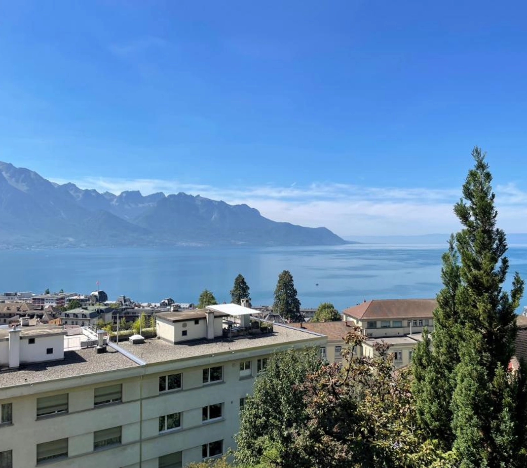 UNIQUE - GRANDE TERRASSE AU CALME AVEC BELLE VUE DEGAGEE SUR LE LAC