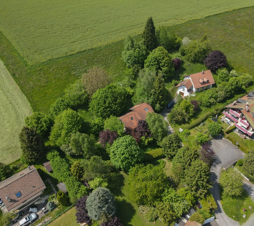 Vendu - Montpreveyres, Vaud