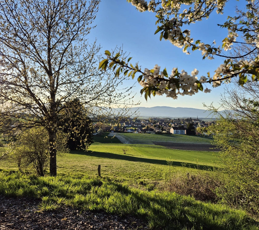 Villa individuelle à rénover !