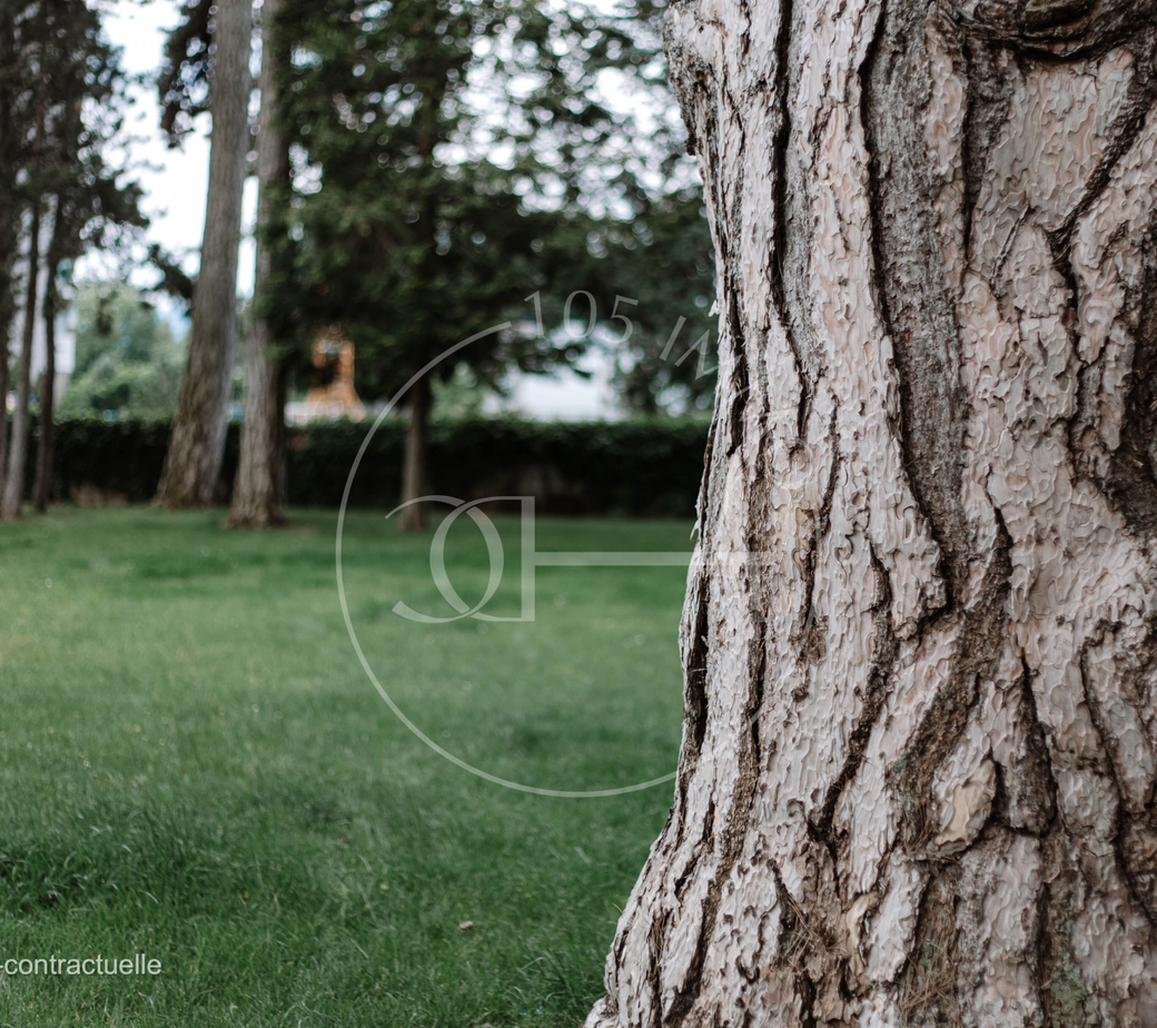 En exclusivité : Très belle villa avec piscine et studio indépendant
