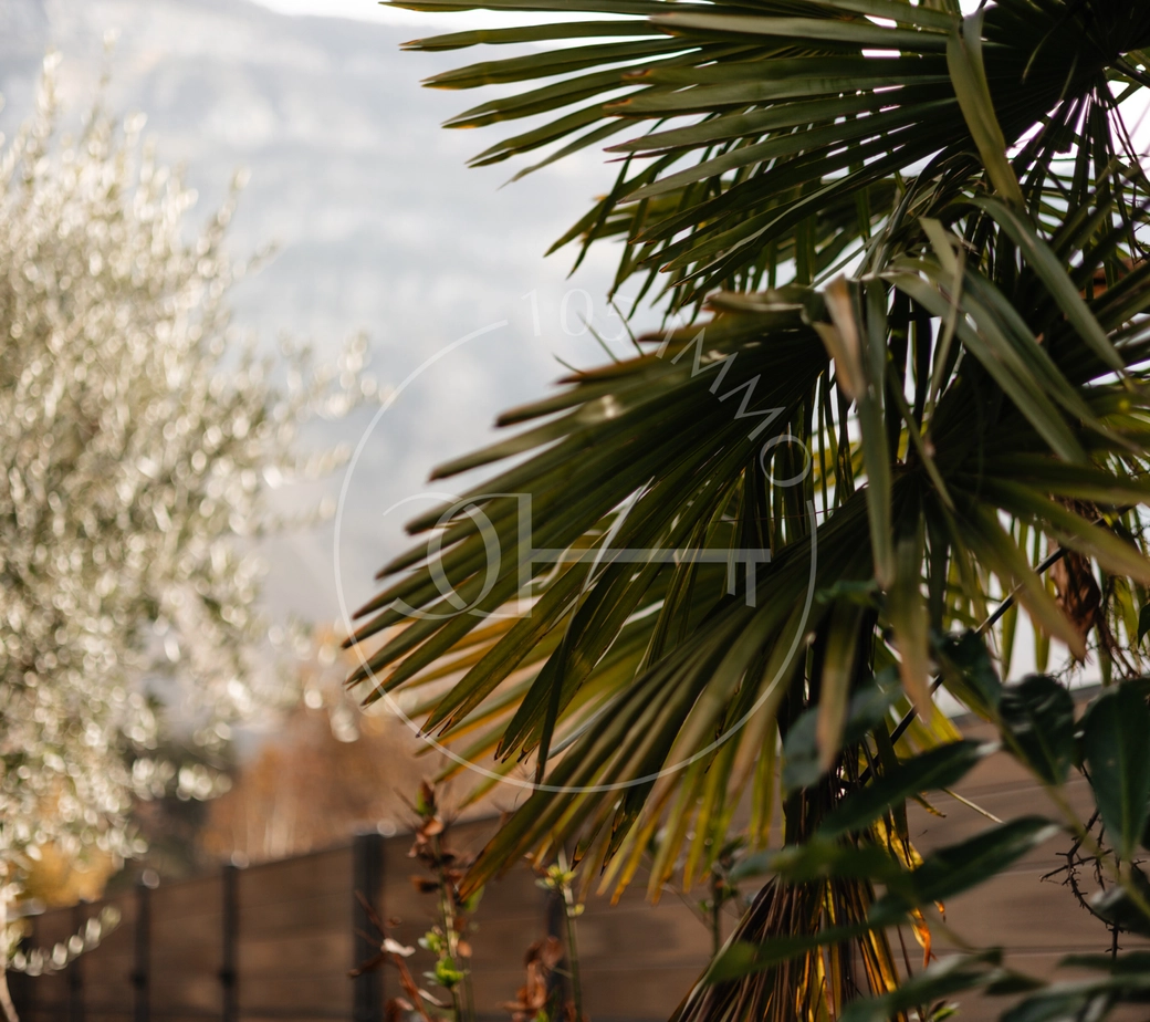 Lumineux triplex avec extérieur cosy