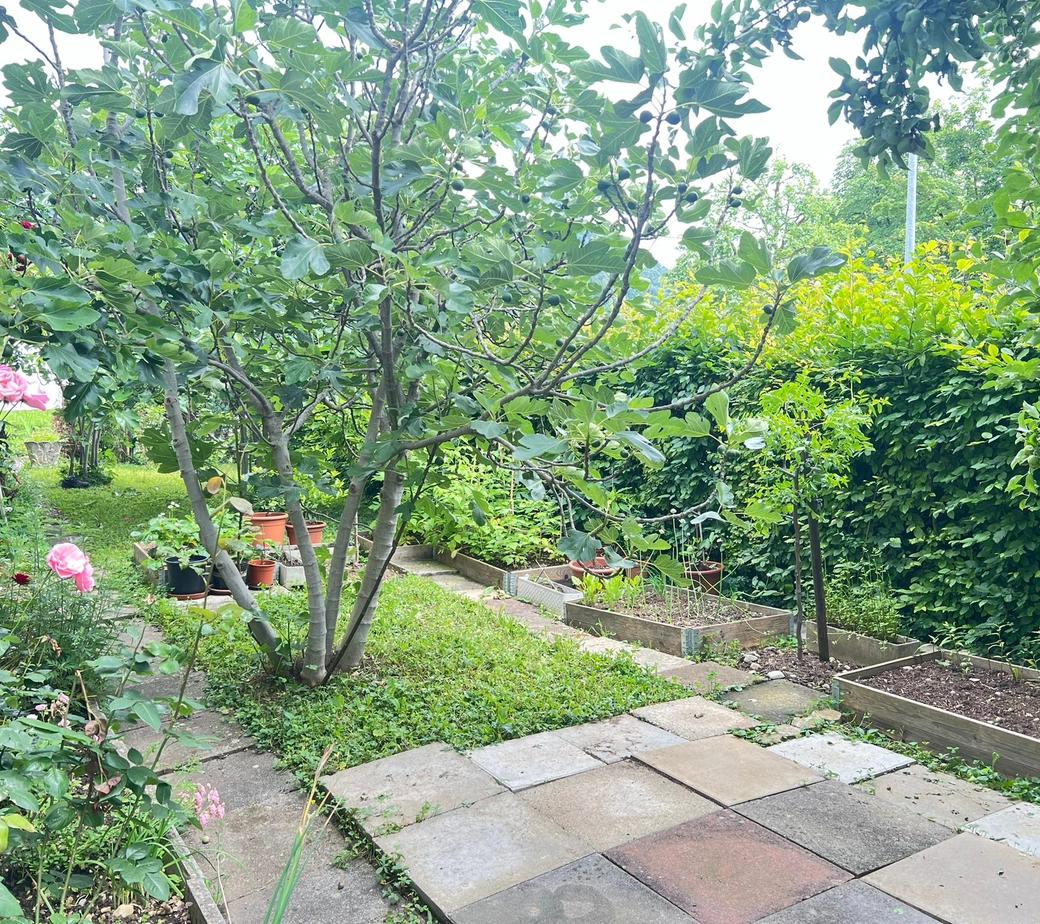Sehr schöne 4.5-Zimmer-Wohnung mit Garten und Tiefgaragenplatz