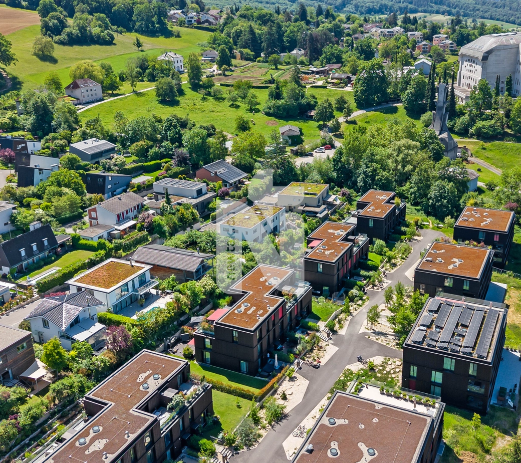 Familienfreundlich und stilvoll wohnen mit Garten, Terrasse und direkter Aussicht auf das Goetheanum