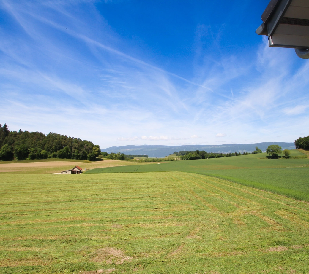 Dernières finitions à choix - Splendide villa à Cronay