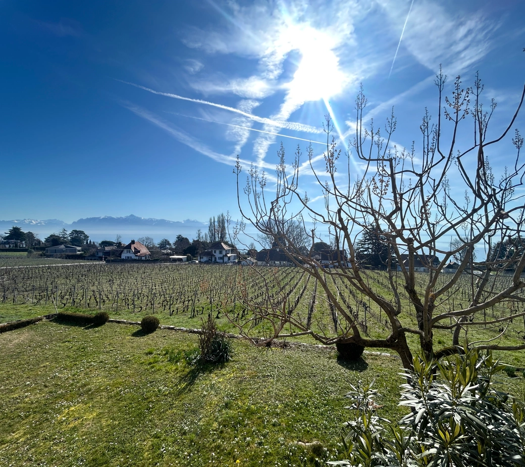 Charmant appartement en duplex avec vue sur le lac !