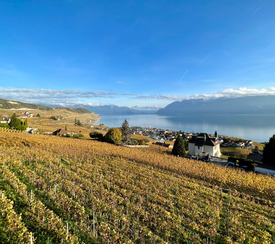 Grandvaux : Appartement d'exception bénéficiant d'une vue panoramique