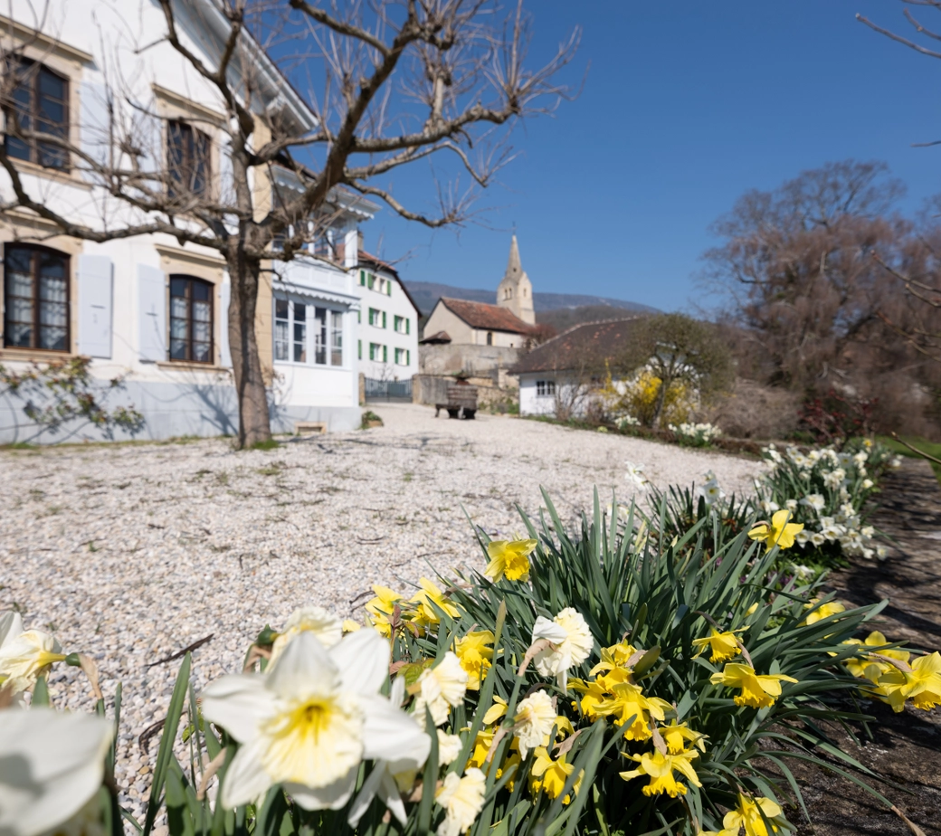 La Demeure au Marronnier - Une propriété d'exception au coeur du vignoble vaudois