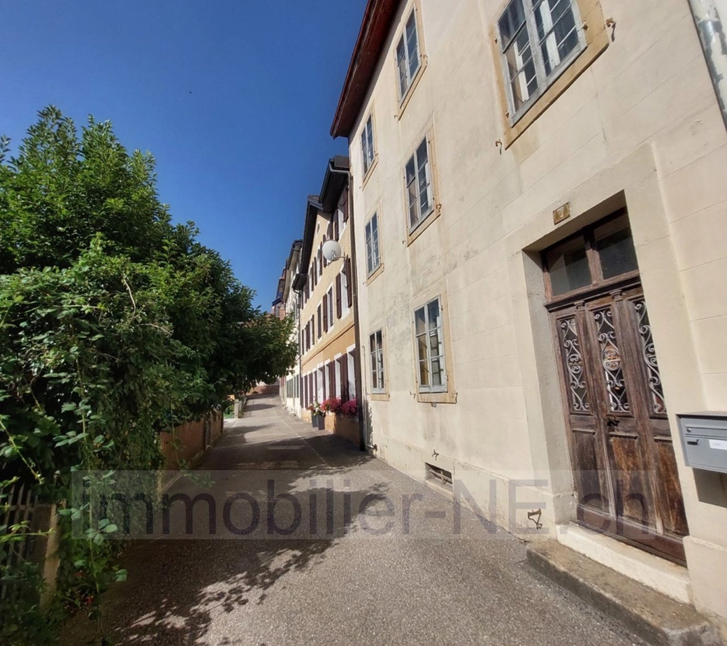 Maison de 3 appartements avec jardin