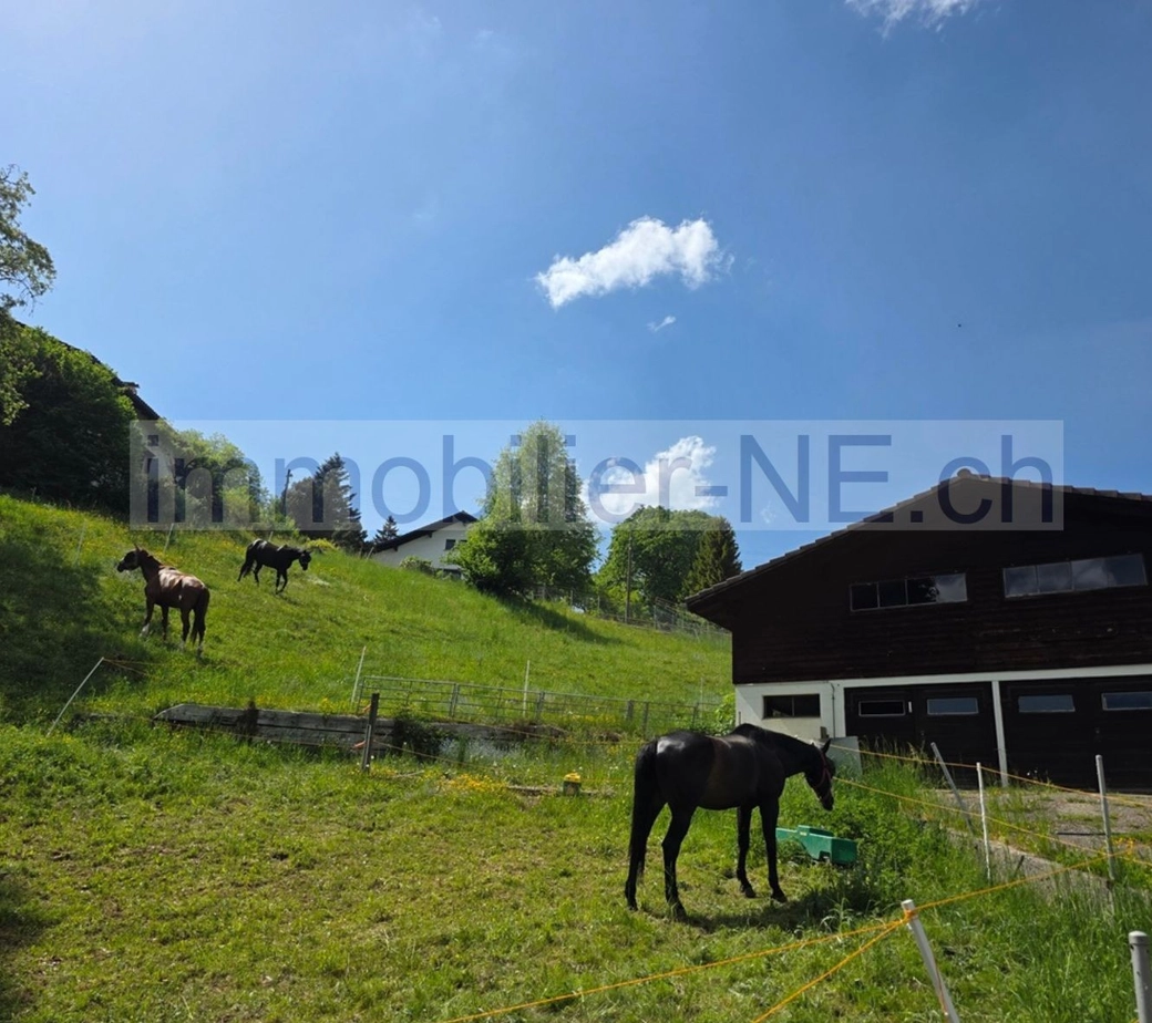 Terrain constructible de 2’143 m² à La Chaux-de-Fonds