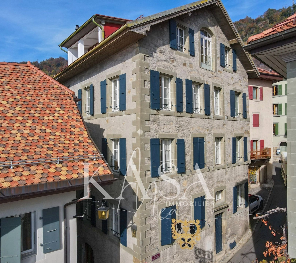 Rare à la vente, Maison vigneronne rénovée de 3 appartements