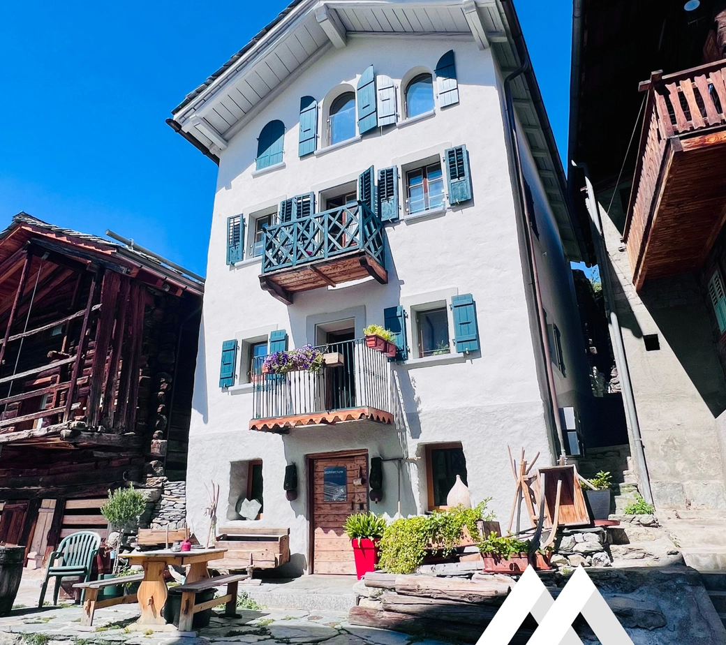 IMMEUBLE DE RENDEMENT, MASE ( MONT-NOBLE )