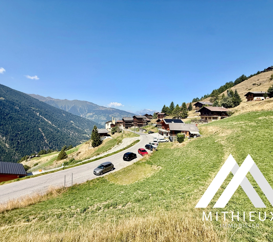 PARCELLE 4104 M2 ! POSSIBILITÉ DE CONSTRUIRE 5 CHALETS, EISON