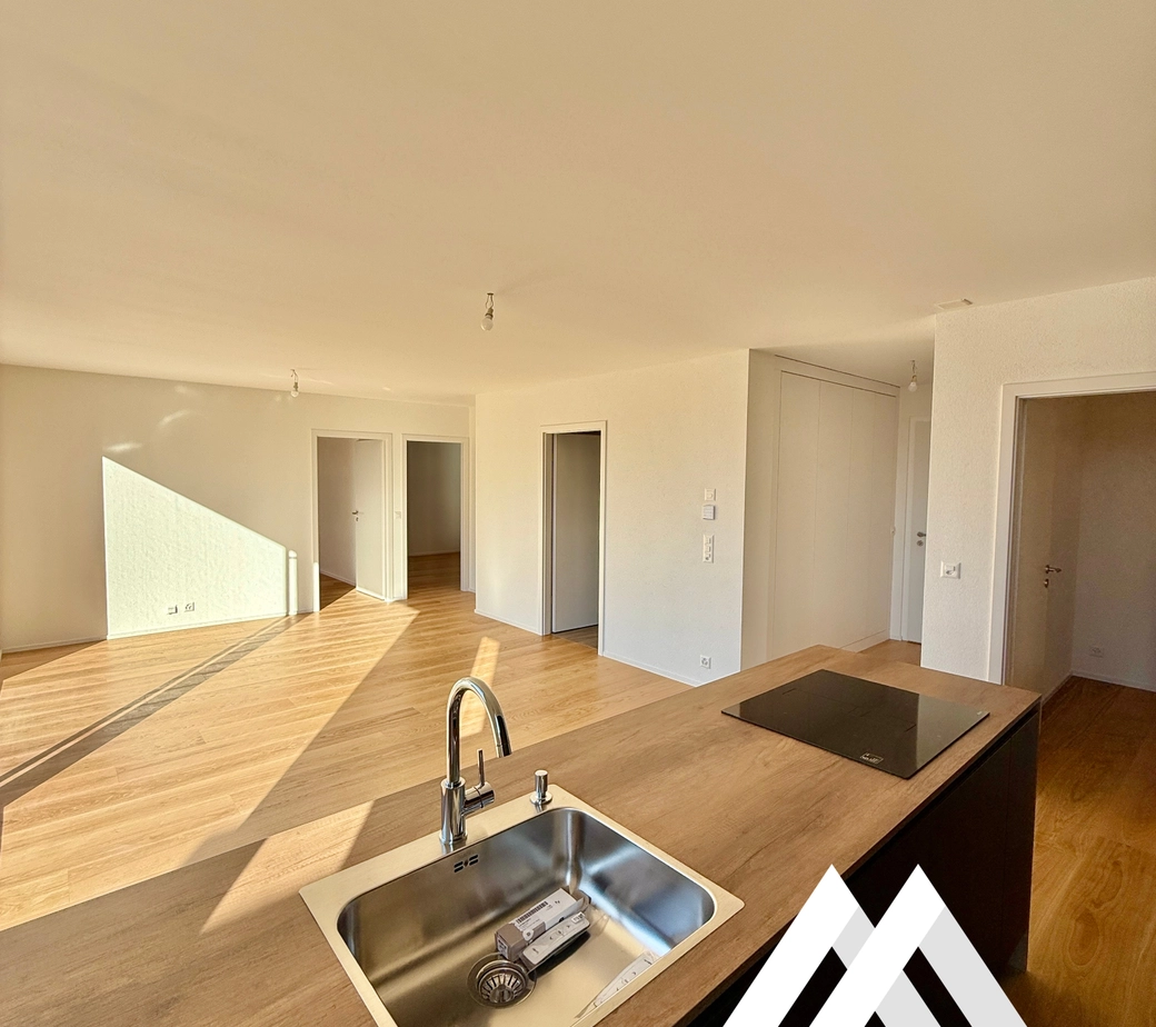 ATTIQUE NEUF DE 3.5 PCES, 112 M2 + TERRASSE PRIVÉE - SION