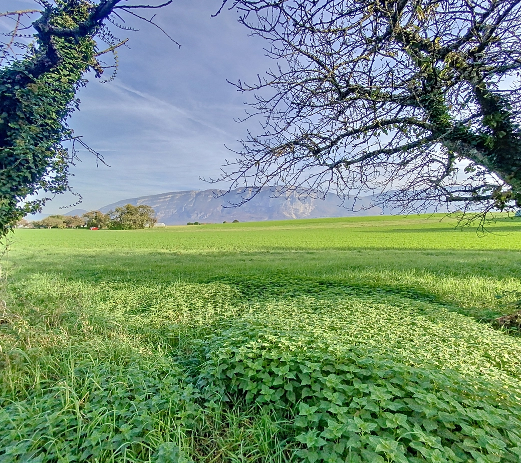 Appartement de Prestige à Tolochenaz