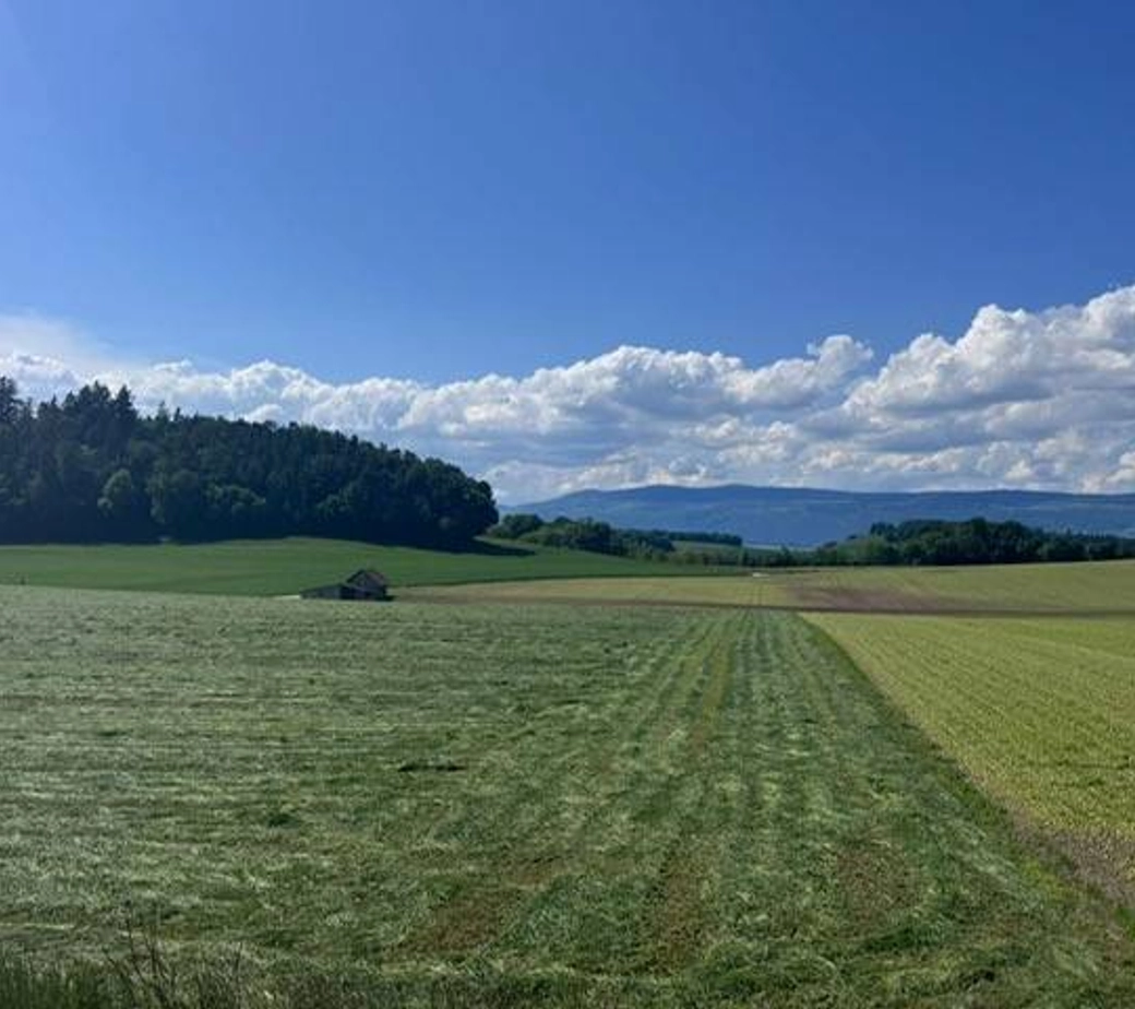 Aux portes d'Yverdon-les-bains, nichées sur les hauteurs d'un village paisible
