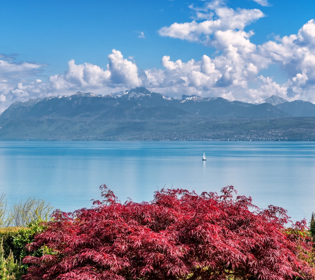 Un joyau au bord du lac Léman