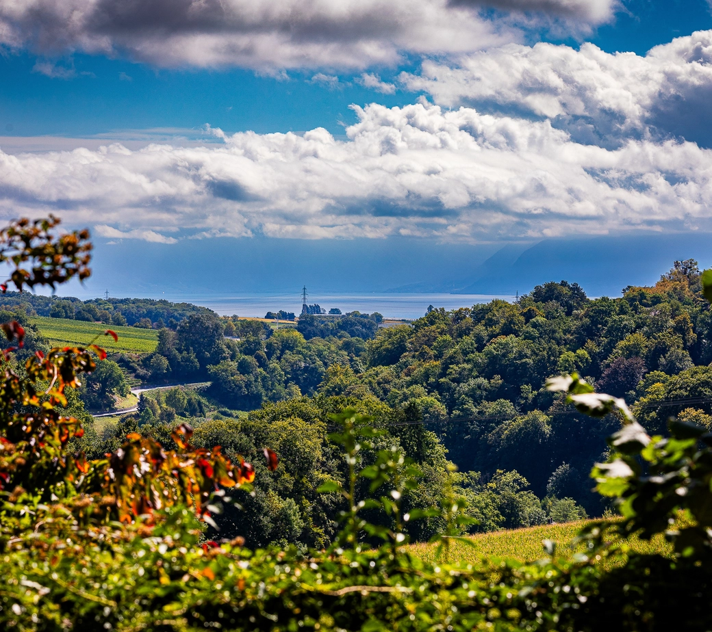 Élégance & Nature : Villa Familiale de Charme au Cœur d’un Écrin Bucolique