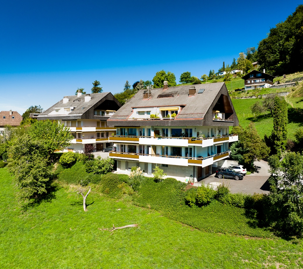Très jolie vue depuis les hauteurs de Chernex - appartement 2.5 pièces