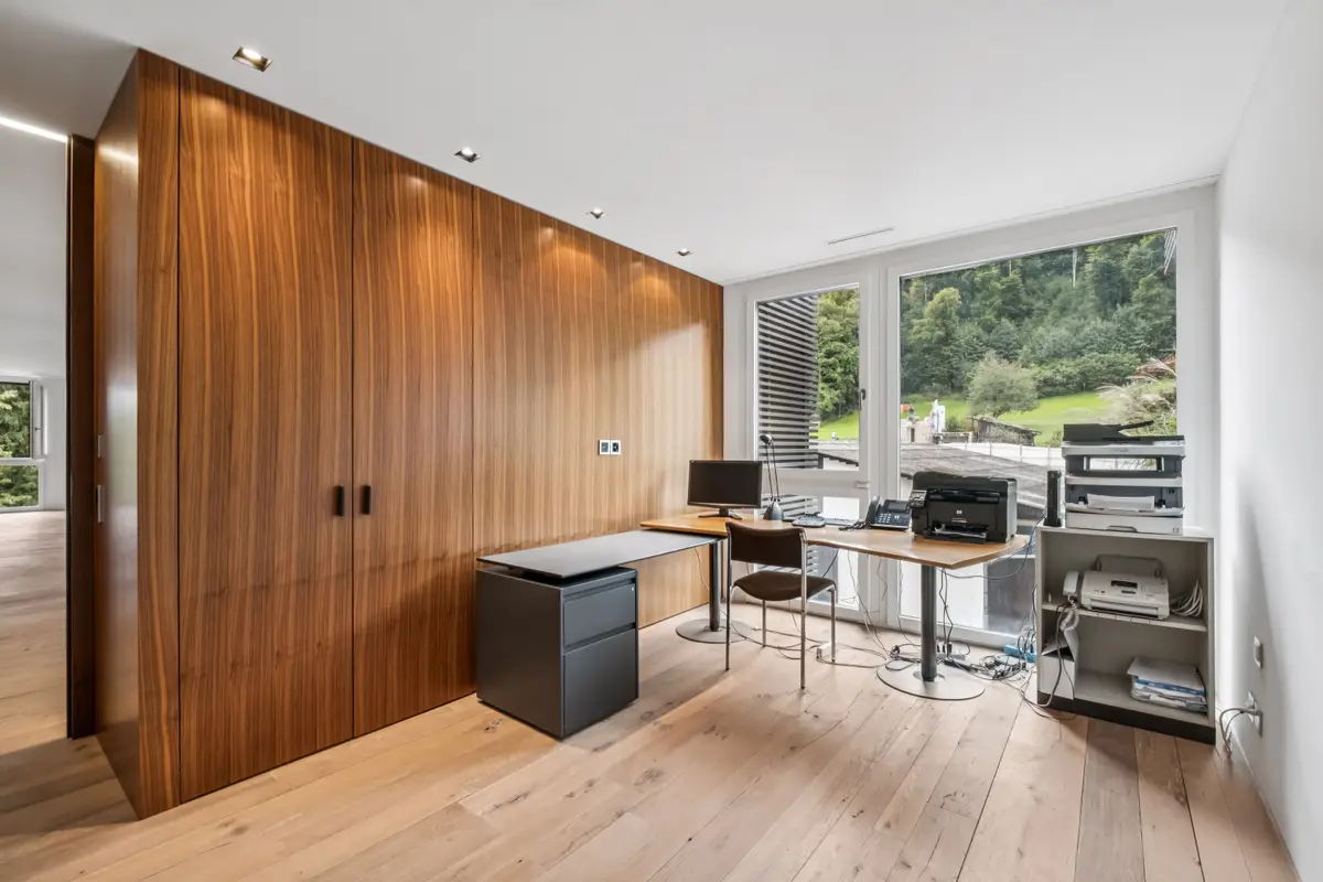 Home Office/Kino in Bäch