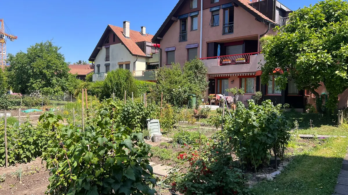 Yverdon - Attique en duplex de 5,5 pièces avec grande terrasse et véranda d'hiver 