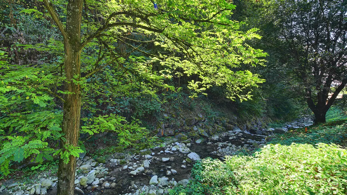 Villa d’exception avec vue imprenable, entre lac et nature