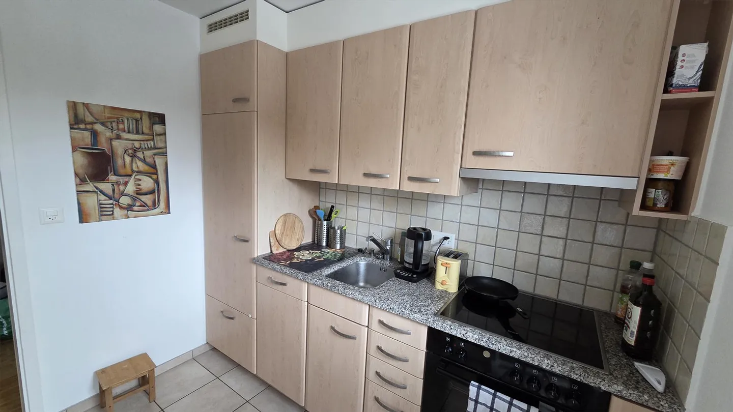 Beautiful 2-room apartment with large terrace, near Aare - Photo 4 of 5