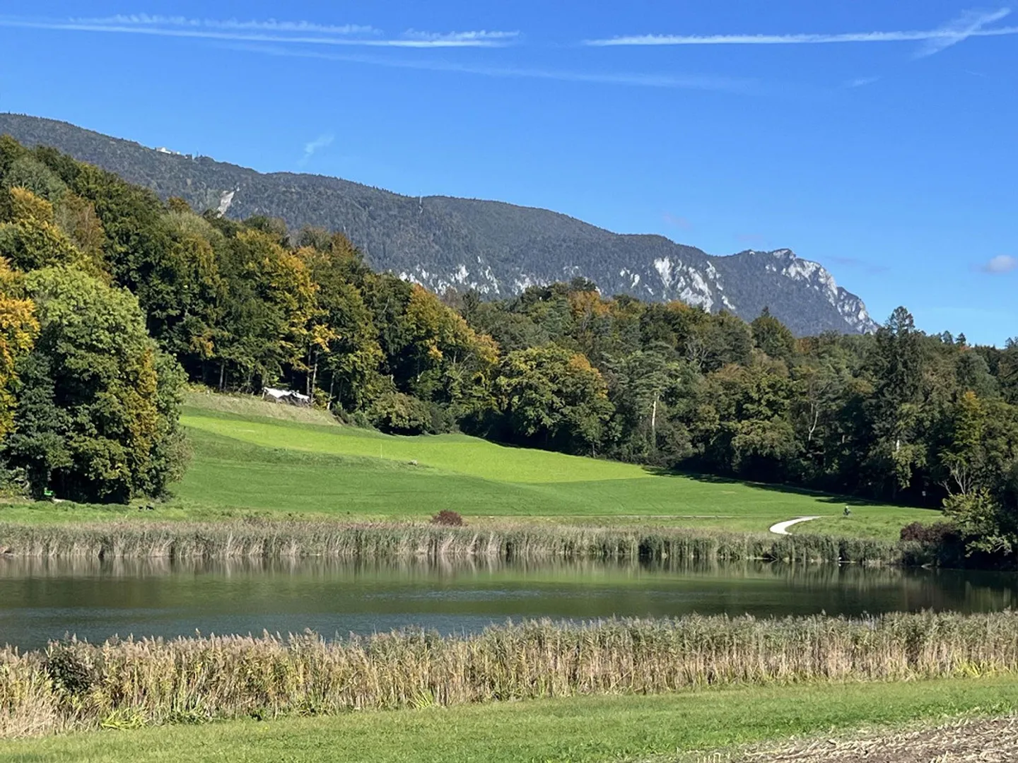 Maison individuelle dans un emplacement privilégié - l'opportunité pour une famille - Photo 12 sur 12