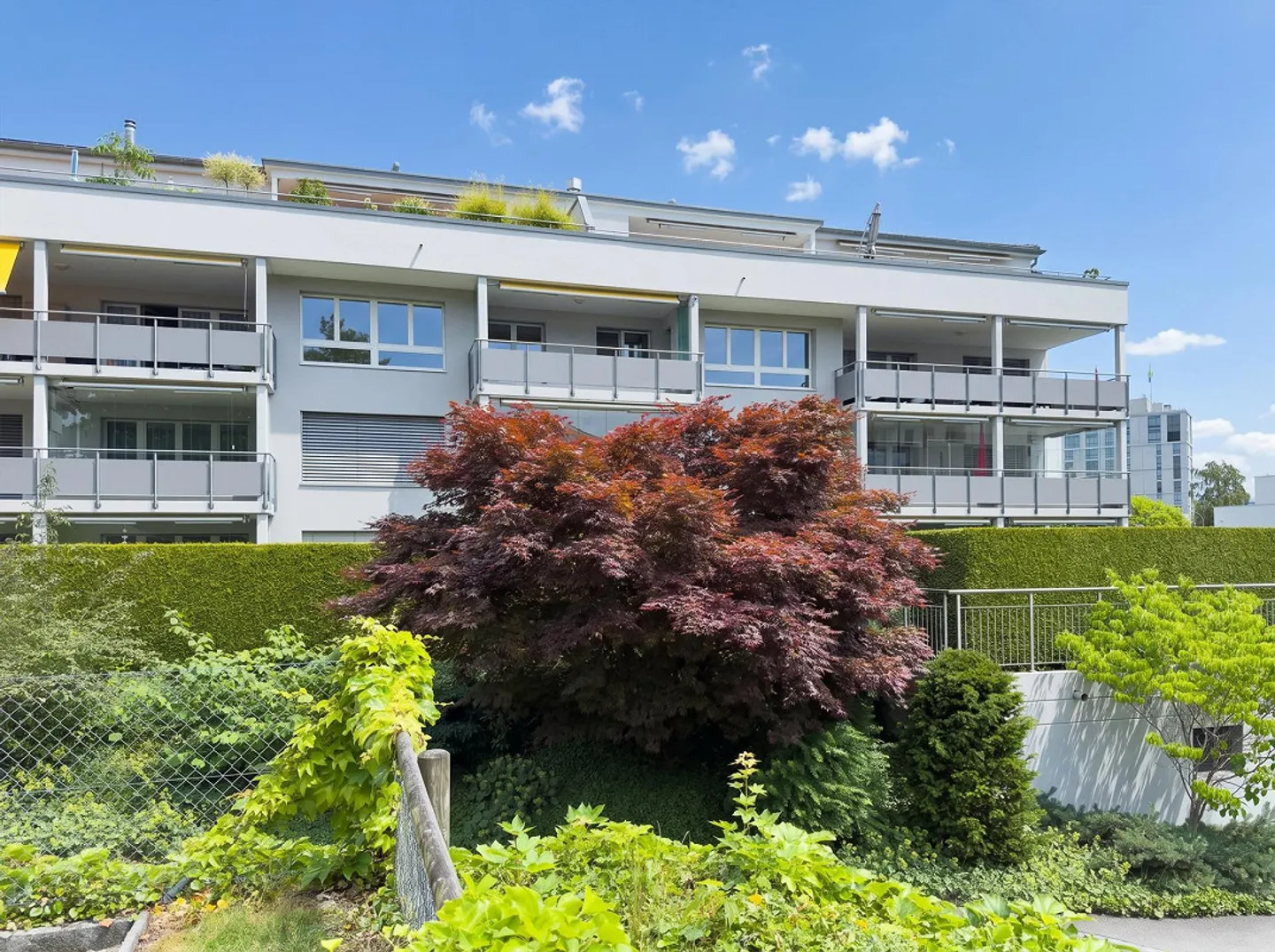 Friendly apartment with large windows - Photo 1 of 13