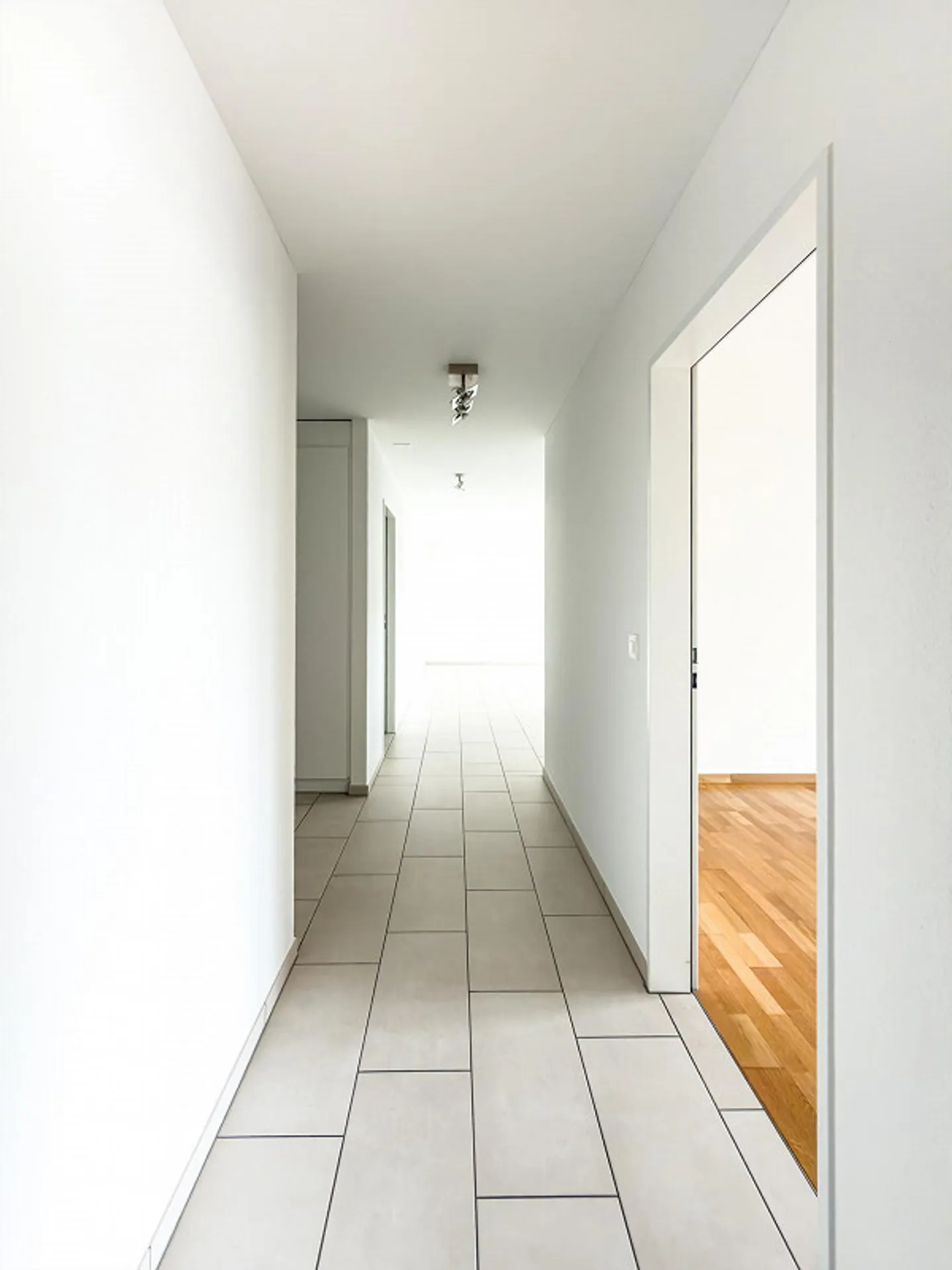 Friendly apartment with large windows - Photo 12 of 13