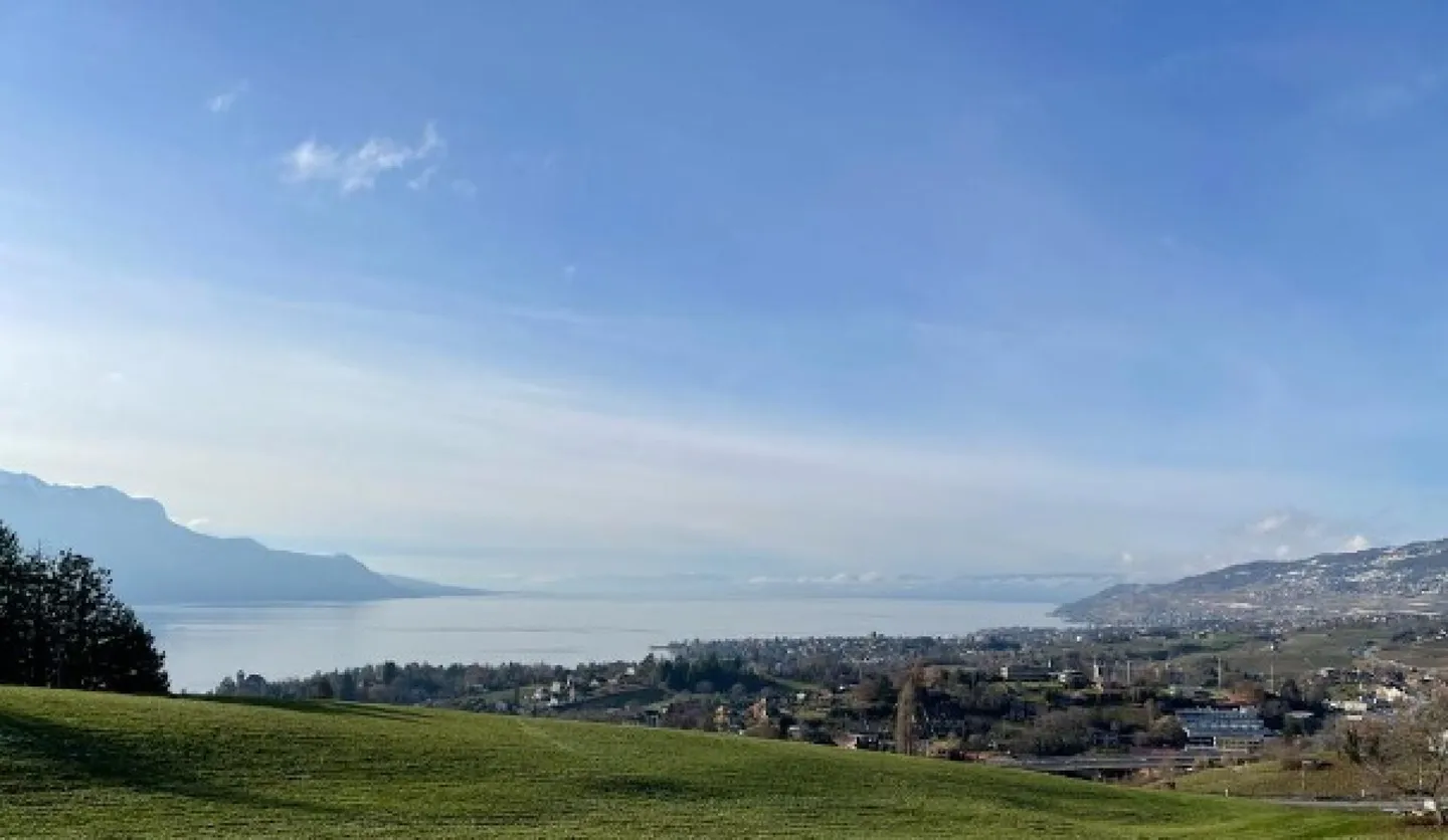 Splendido appartamento di 3,5 locali - Foto 1 di 11