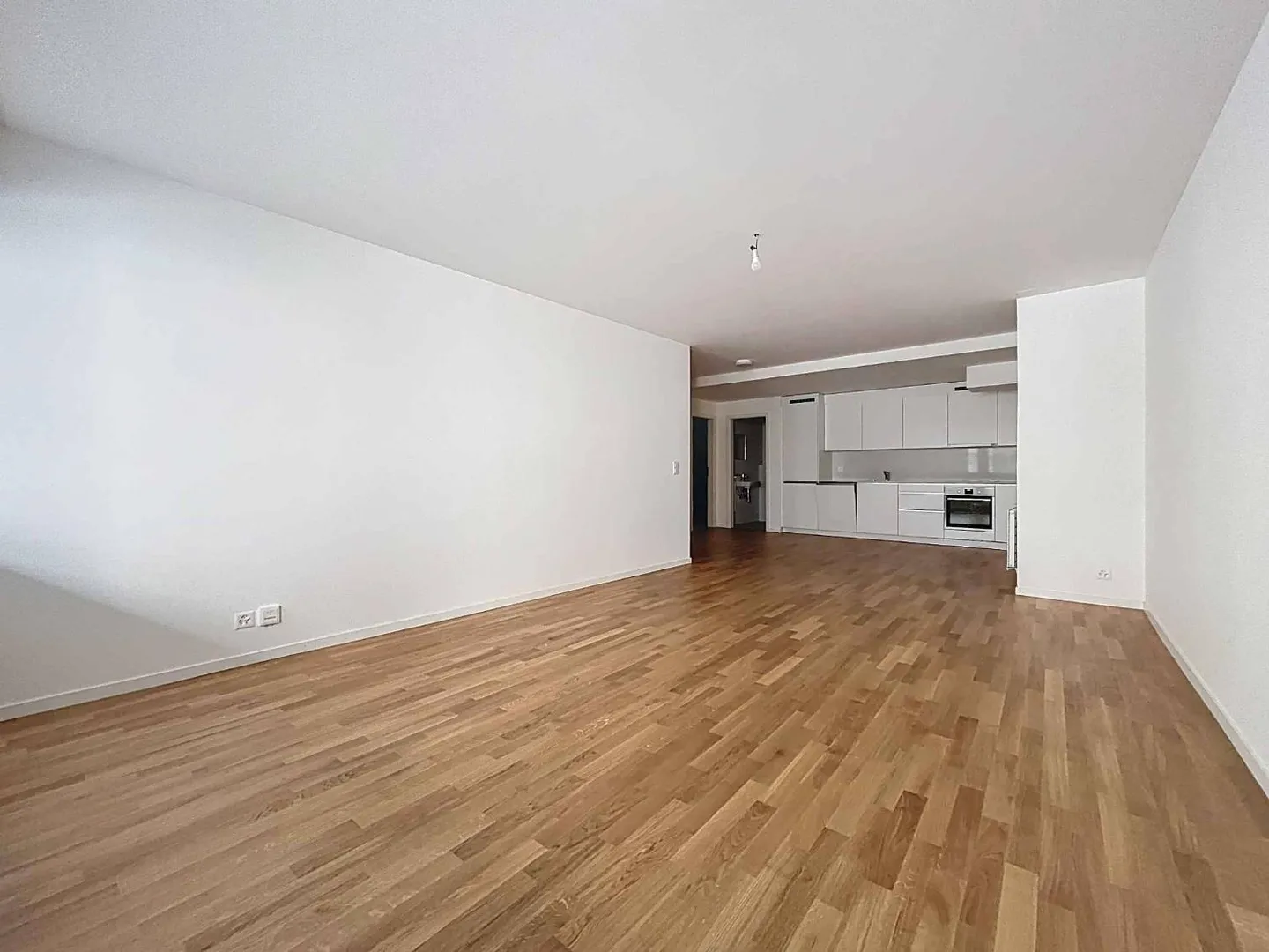 Large New Apartment with 2 Rooms on the Ground Floor - Photo 5 of 9