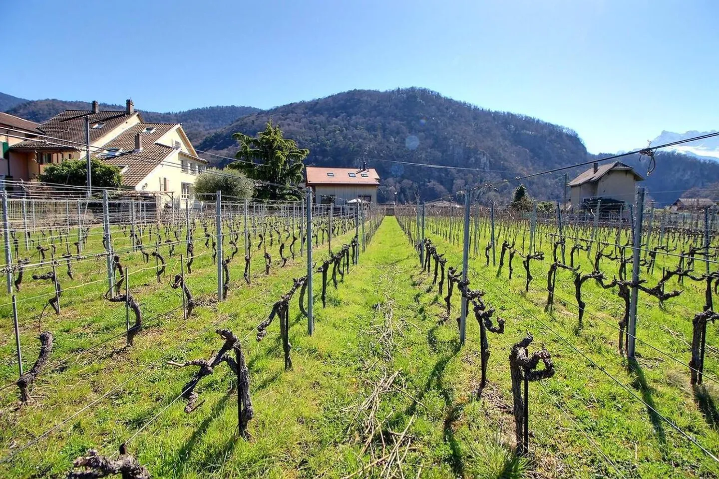 Haus in besetztem Leibrentenvertrag ohne Miete, begrenzt auf 10 Jahre - Foto 1 von 9