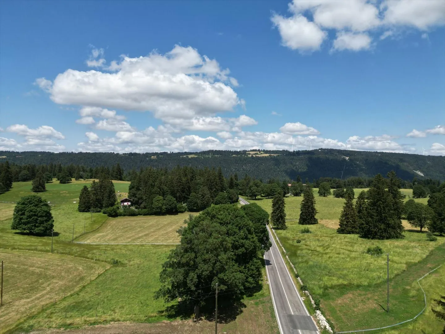 7-Zimmer-Haus - Foto 8 von 12