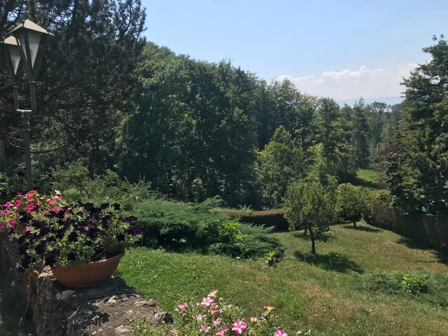 Magnifica Casa in usufrutto occupato senza affitto limitato a 10 anni - Foto 28 di 30