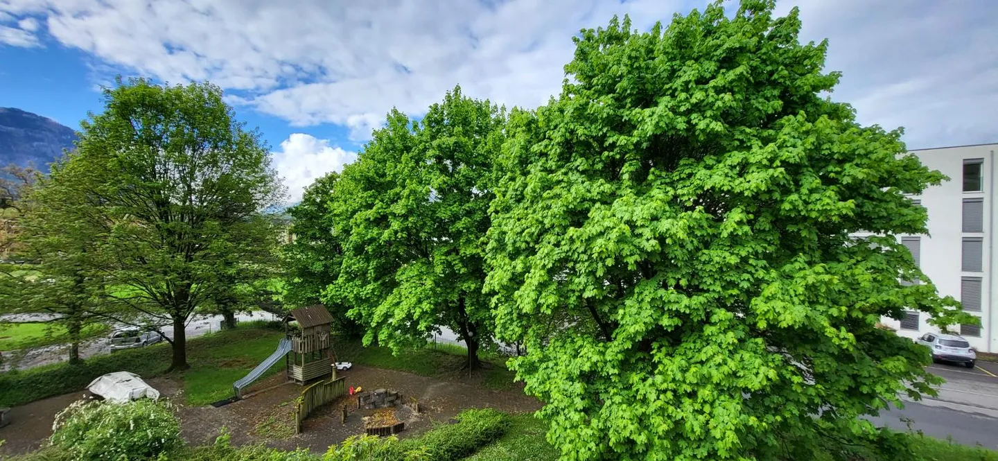 Charmant Attique - Photo 10 sur 10