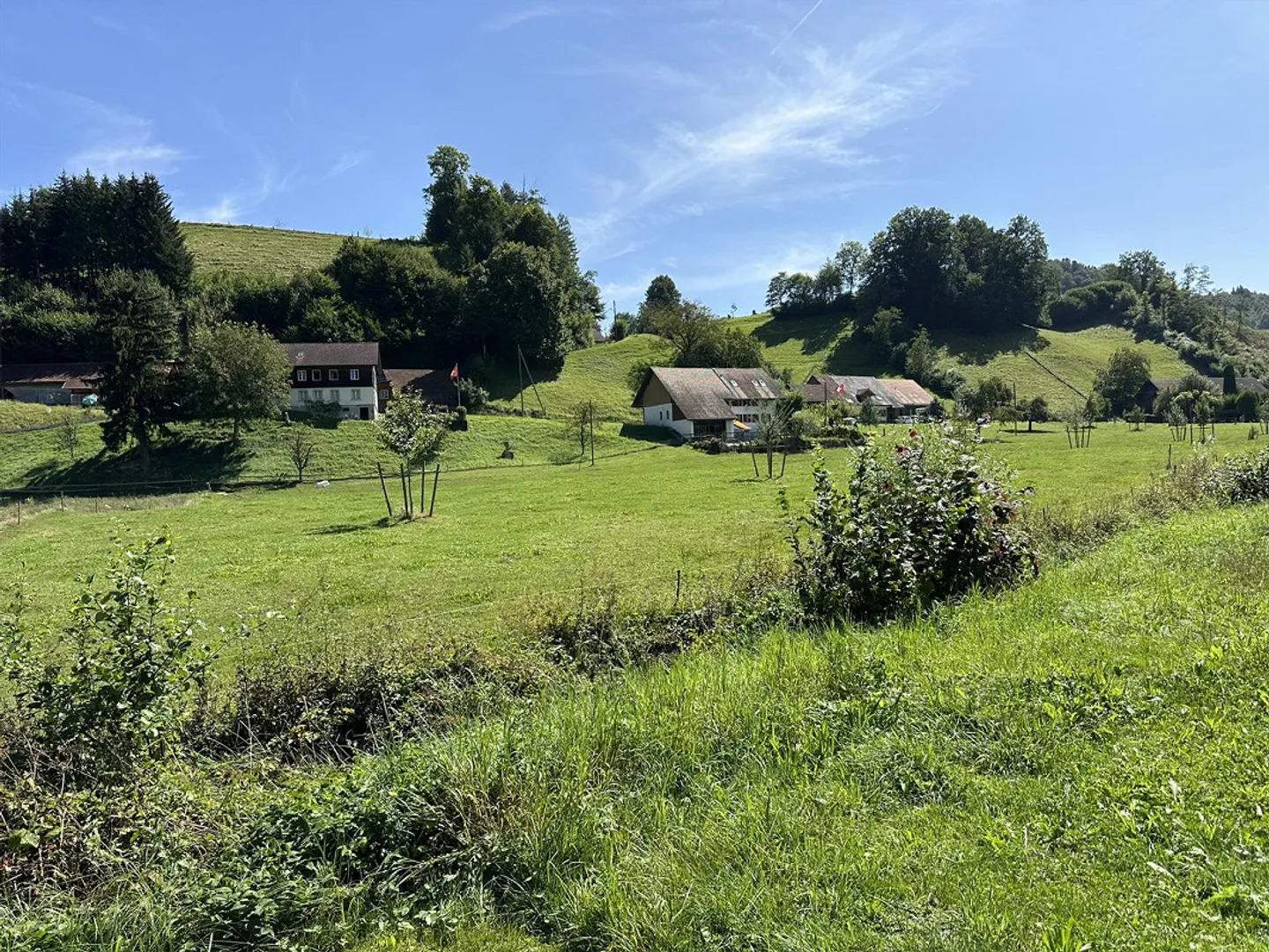 Vivere nel verde, nuovo appartamento di 5,5 stanze - Foto 10 di 10