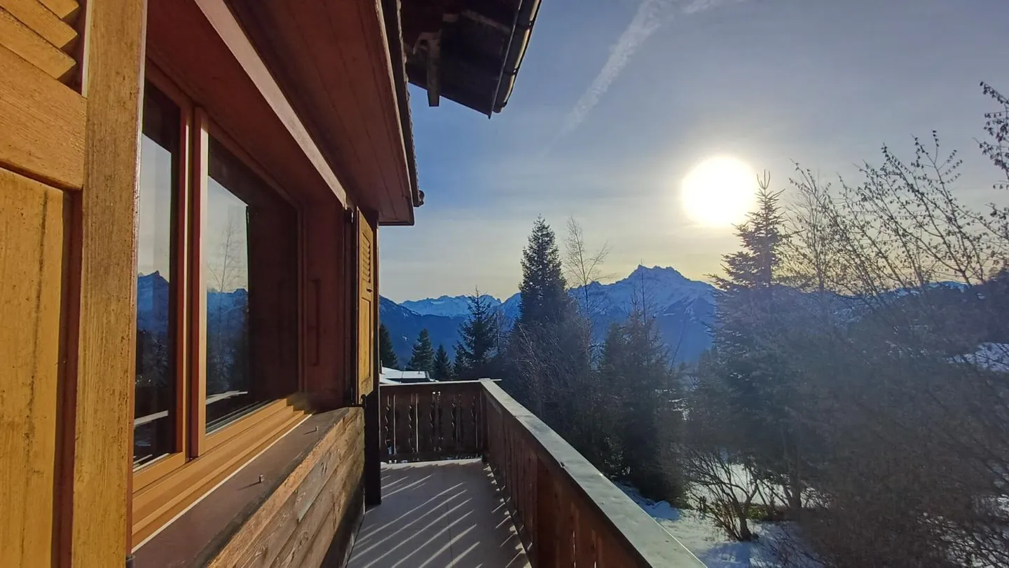 Die Mossettes - Foto 7 von 13