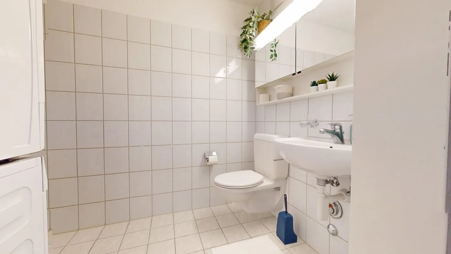 Studio for rent - Photo 6 of 6