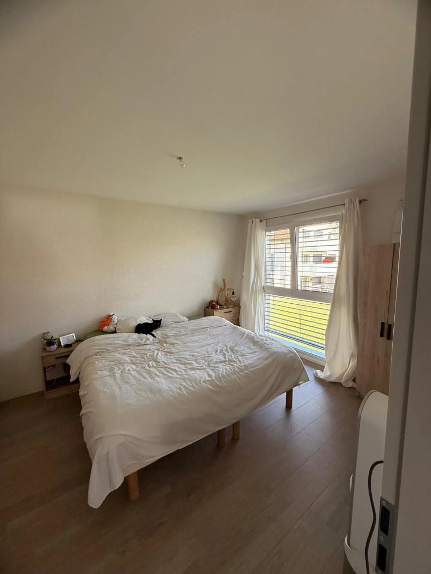 Appartamento 2.5 locali - Foto 2 di 8