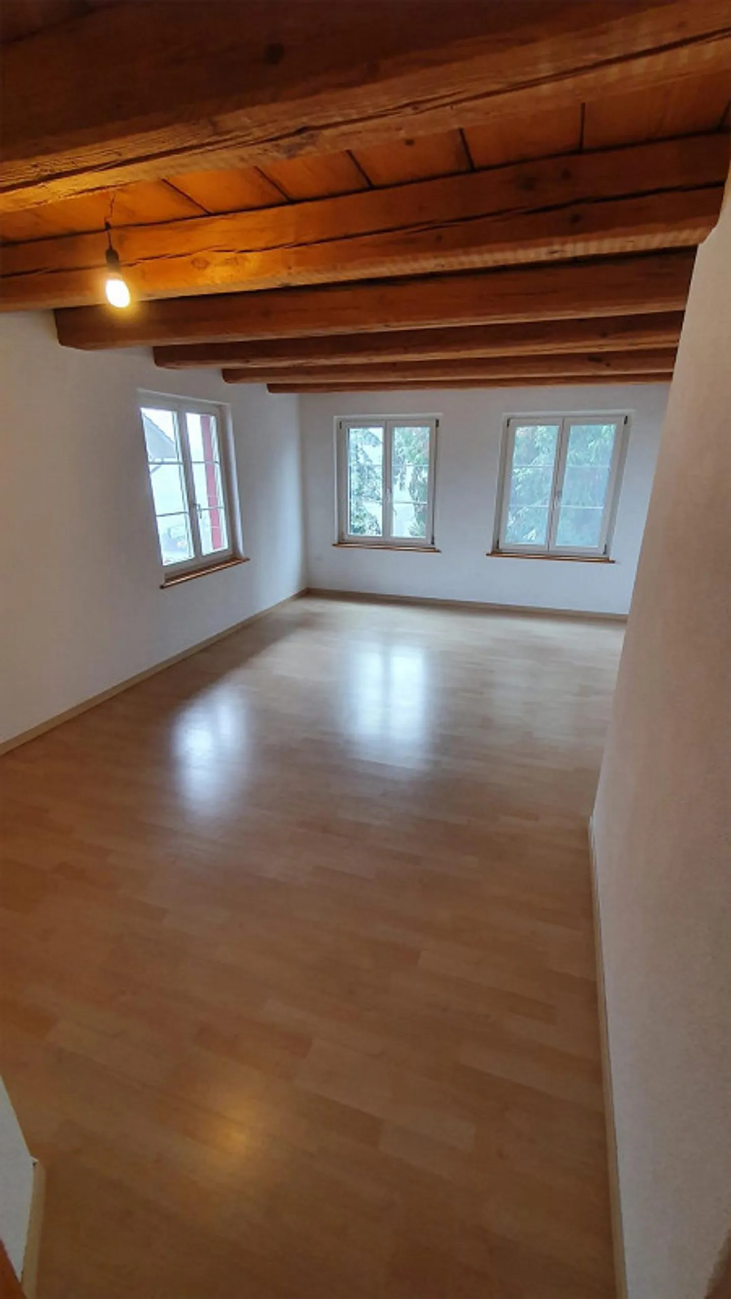 Frisch renovierte, heimelige, sonnendurchflutete 4.5 Zimmer Wohnung - Photo 10 of 24