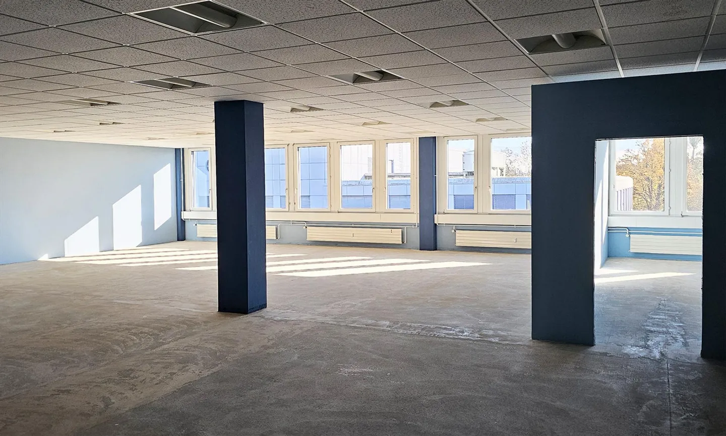 Warehouse/Archive with Daylight - Sennweid Business Area, Steinhausen - Photo 3 of 5